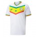 Senegal Voetbalkleding Thuisshirt WK 2022 Korte Mouwen